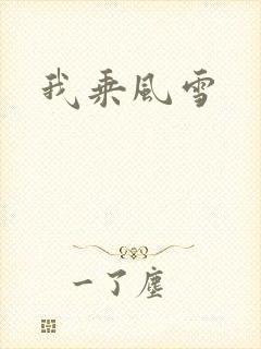 我乘风雪封面