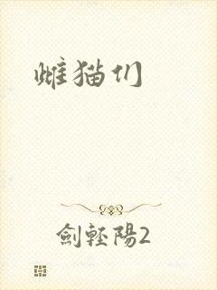 雌猫们