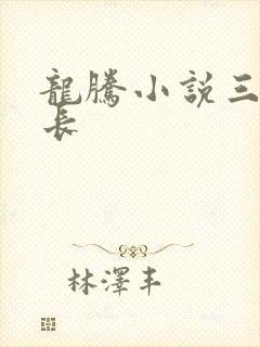 龙腾小说三宝局长