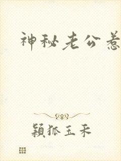 神秘老公惹不起