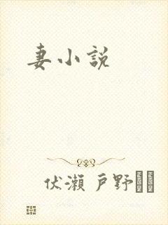 妻小说