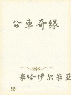 公车奇缘