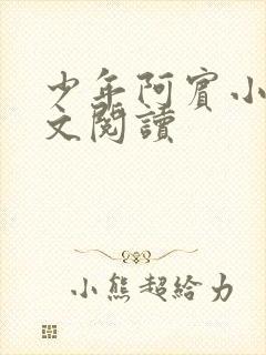 少年阿宾小说全文阅读