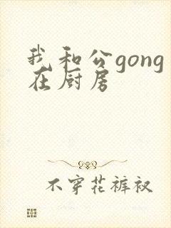 我和公gong在厨房