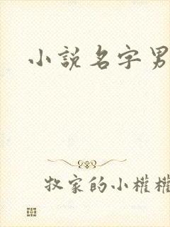 小说名字男生