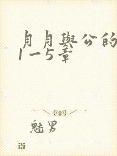 月月与公的激情1一5章