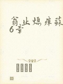 翁止熄痒苏玥第6章