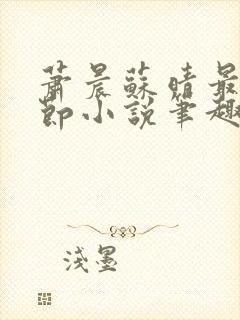 萧晨苏晴最新章节小说笔趣阁封面