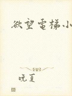 欲望电梯小说