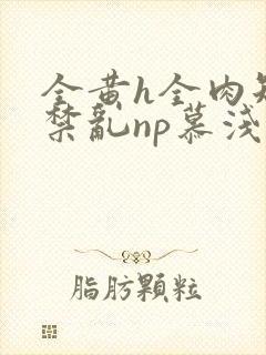 全黄h全肉短篇禁乱np慕浅浅
