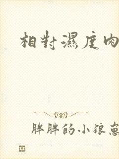 相对湿度肉车封面