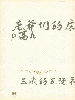 老爷们的床奴np高h