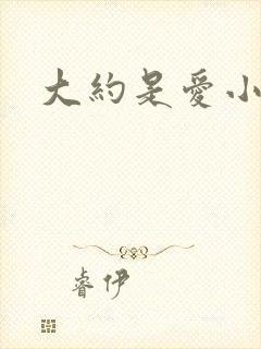 大约是爱小说