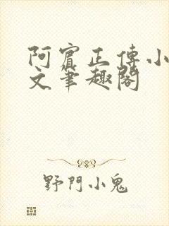 阿宾正传小说全文笔趣阁