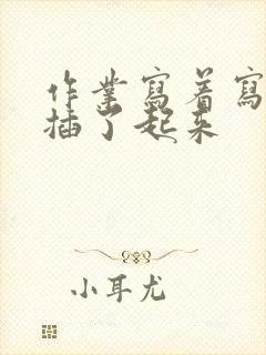 作业写着写着就插了起来