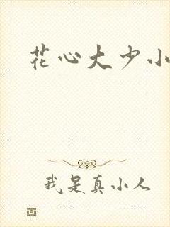 花心大少小说