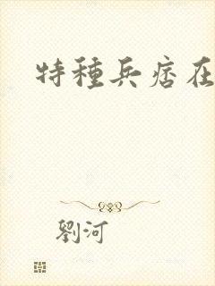 特种兵痞在都市