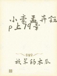 小豪孟卉钰慧三p上79章