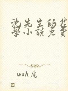 沈先生的花式教学小说免费