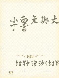 小白兔与大灰狼丁当