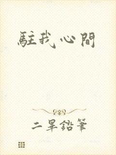 驻我心间封面