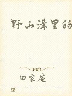 野山沟里的村庄