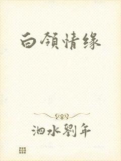 白领情缘
