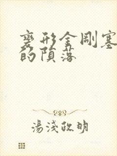 变形金刚塞伯坦的陨落