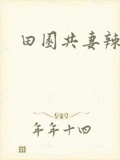 田园共妻辣