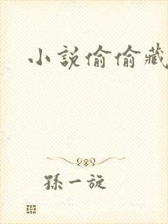 小说偷偷藏不住