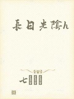 长日光阴h