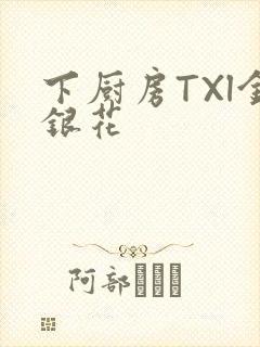 下厨房TXl金银花