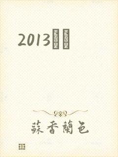 2013С˵