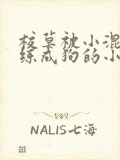 校草被小混混训练成狗的小说