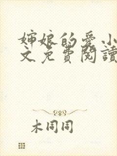 婶娘的爱小说全文免费阅读