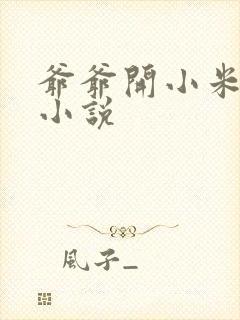 爷爷开小米的包小说