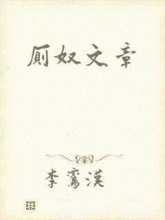 《厕奴文章》小说封面