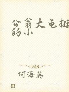 公翁大龟挺进我的小