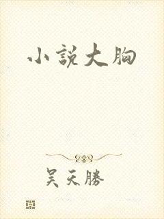 小说大胸