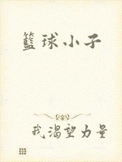 篮球小子