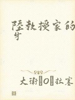 陆教授家的小月牙