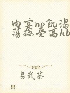 肉宴np饥渴放荡总受高hbl