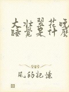 大壮翠花晚上不睡觉是什么电视剧封面