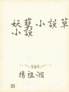 妖孽小说草莓酱小说