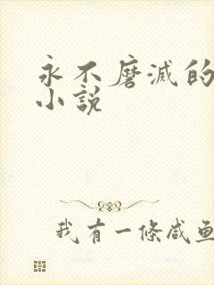 永不磨灭的番号小说