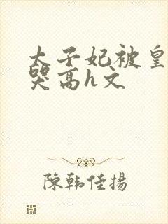 太子妃被皇上c哭高h文