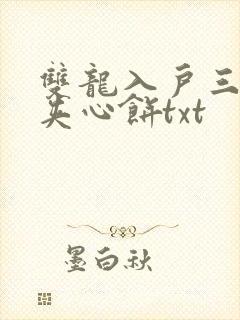 双龙入户三人行夹心饼txt