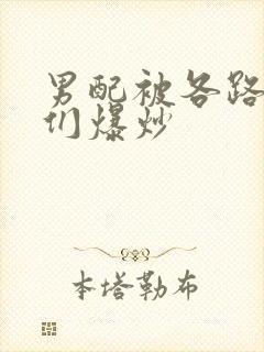 男配被各路大佬们爆炒