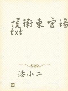 侯卫东官场笔记txt