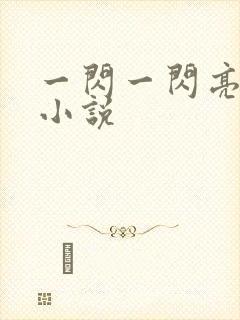 一闪一闪亮星星小说